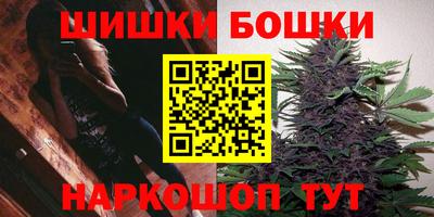 spice Кингисепп