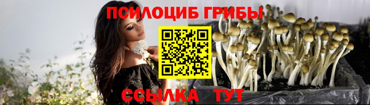 Янаул  Галлюциногенные грибы Psilocybe  Вход с VPN 